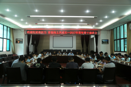 跨越发展敢担当，青春向上共成长—公司召开2017年青年骨干座谈会