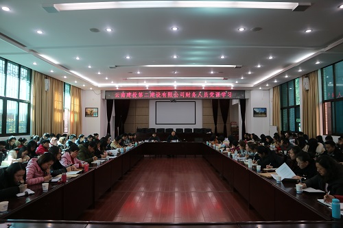 公司举行财务人员党课学习暨财务业务会
