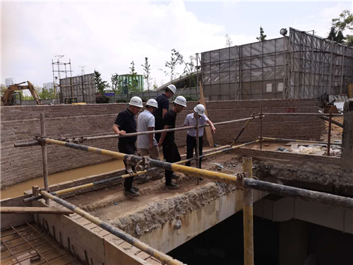 陈定华调研滇池明珠广场二期建设项目