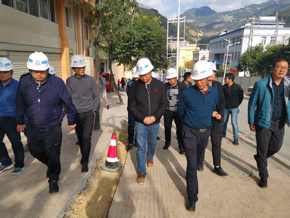 【调研检查】陈定华一行调研检查金平片区项目