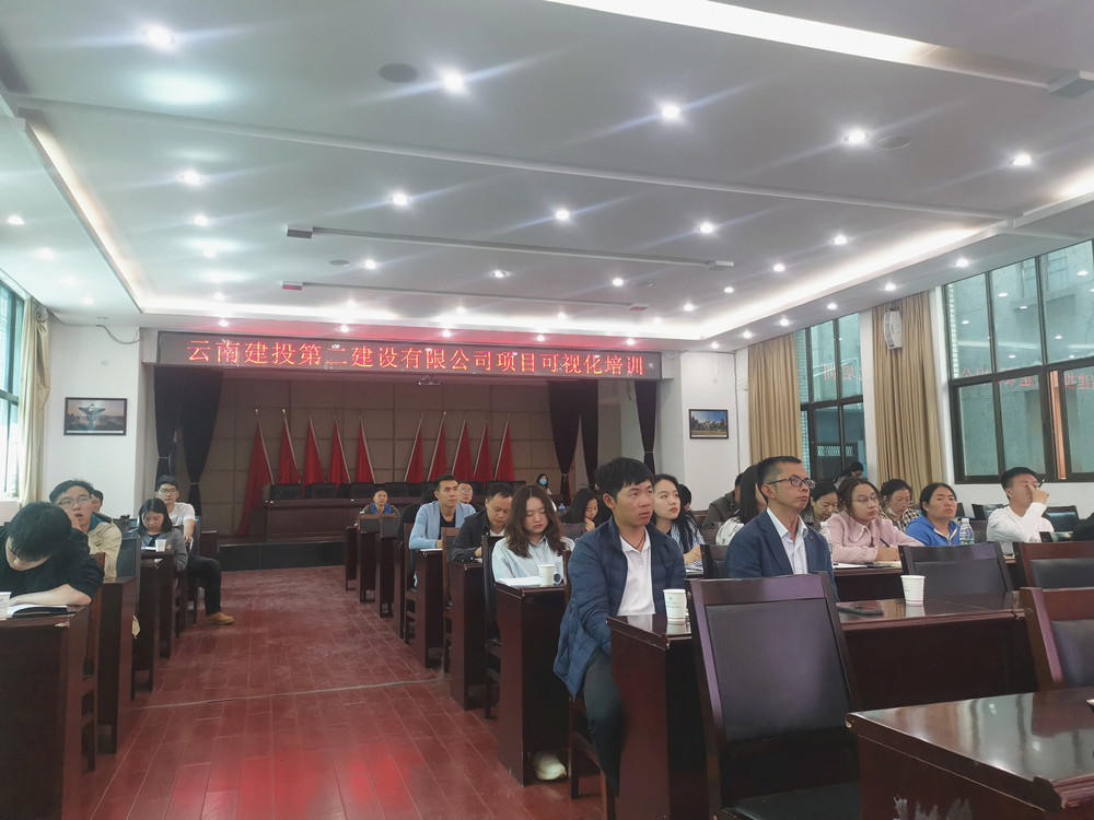 【公司动态】公司举办项目可视化培训