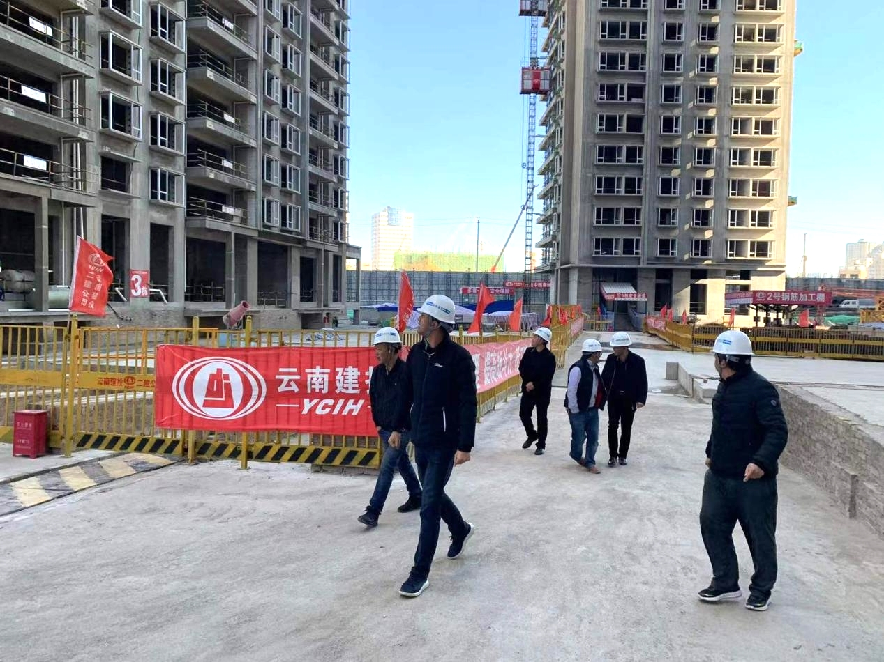 【我为群众办实事】公司领导调研华润润府小区项目