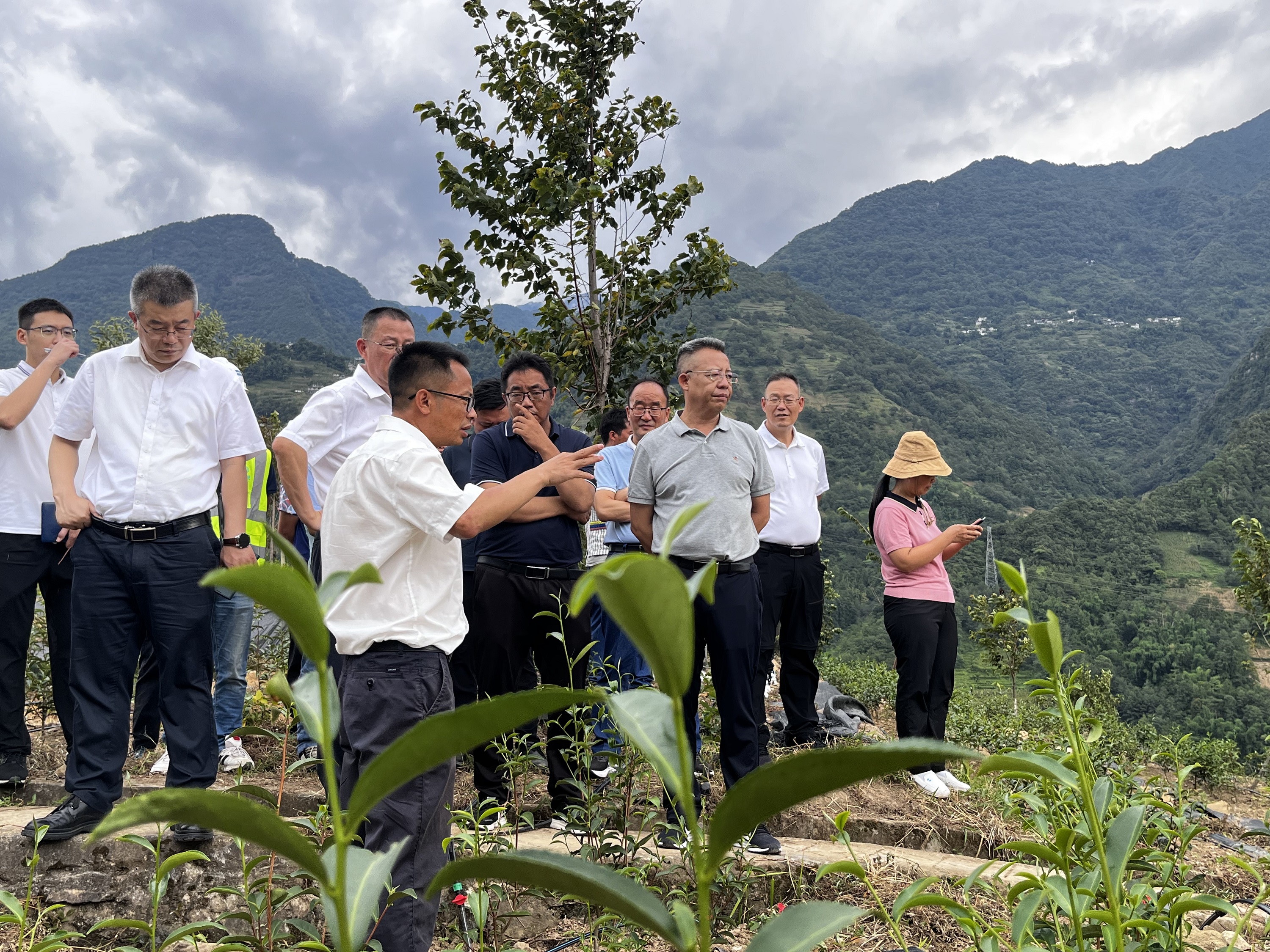 【调研检查】怒江州州委副书记、州长李文辉到鹿马登乡小康村建设项目调研指导工作