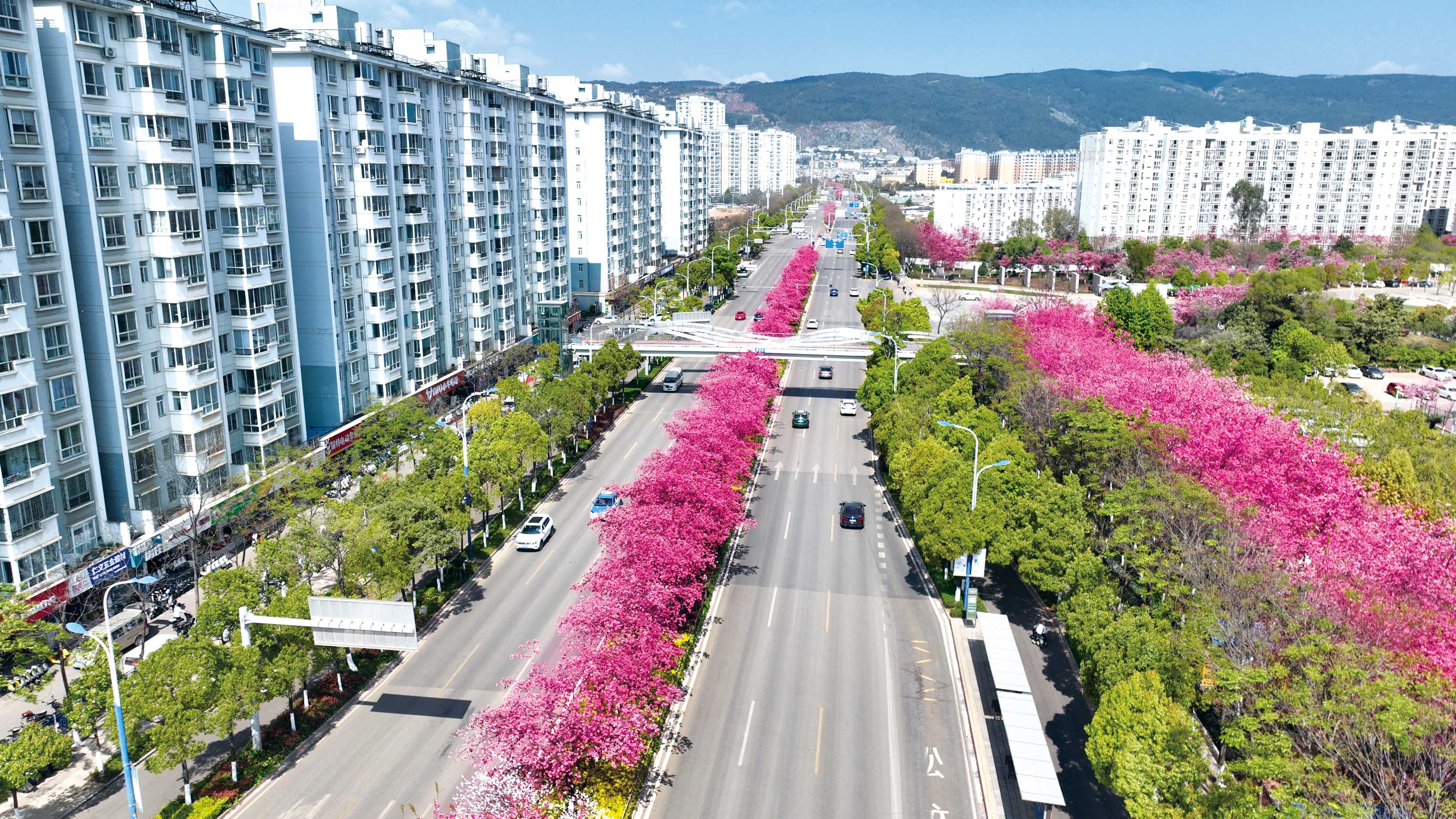 全国市政金杯-昆明市沣源路（7204道路）改扩建工程